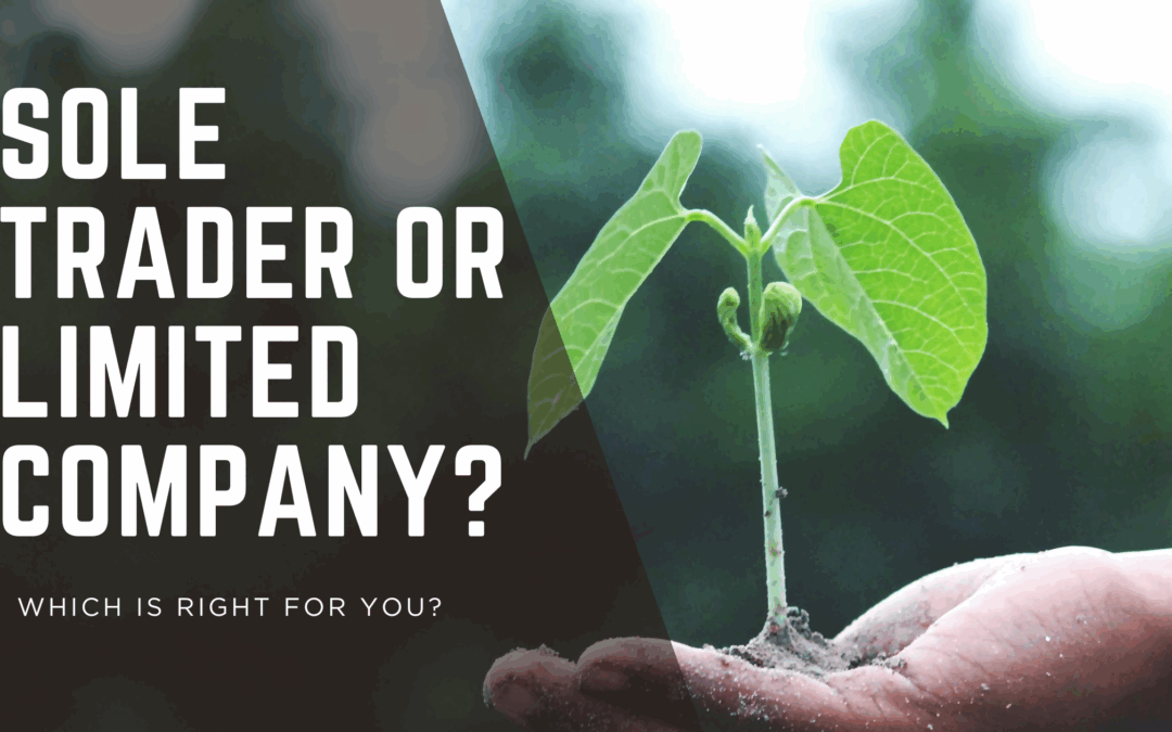 Sole Trader or Limited Company – Which is Right for you?