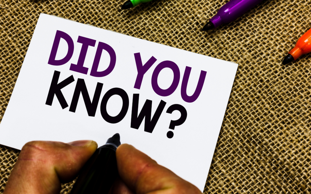 7 Fun Facts About Bookkeeping